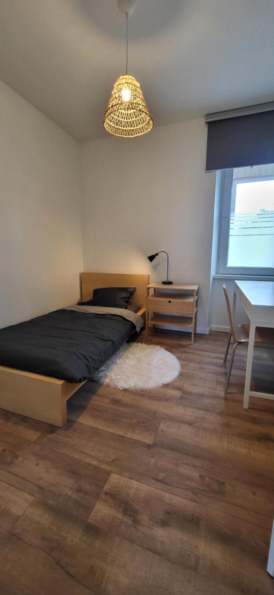 Appartement Lumineux 2 Colmar